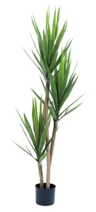 �y�l��z���s�z�y�ʓr����A�zկ�150cm