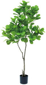 �y�l��z���s�z�y�ʓr����A�z�������ذ�150cm