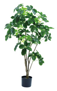 �y�l��z���s�z�y�ʓr����A�z�����120cm