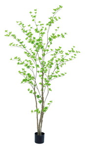 �y�l��z���s�z�y�ʓr����B�z�޳���210cm