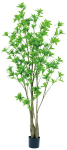 �y�l��z���s�z�y�ʓr����B�z�����ذ180cm