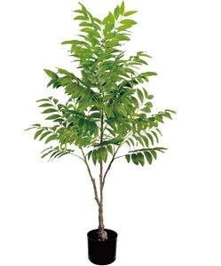 �y�l��z���s�z�y�ʓr����A�z�����ذ125cm