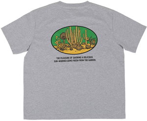 �y�l��s�zBOTANY T-SHIRT SAGUARO XL/GY  [PX]