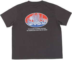 �y�l��s�zBOTANY T-SHIRT SAGUARO XL/CH  [PX]