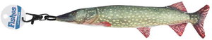 �y�����ʓr�z�y�l��s�zLITTLE FISHES PIKE