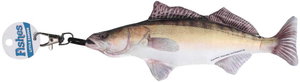 �y�����ʓr�z�y�l��s�zLITTLE FISHES ZANDER