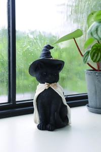 【個人宅配送不可】ミスティックキャット