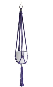 �y�l��z���s�z���ϸ�ҥ�ݸ��߯� purple