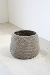 �y�l��z���s�z�X�L�[���E�{�g���|�b�gL