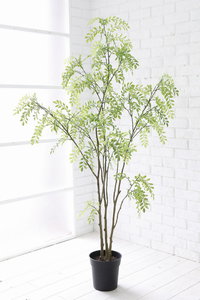 �y�l��z���s�z����غ