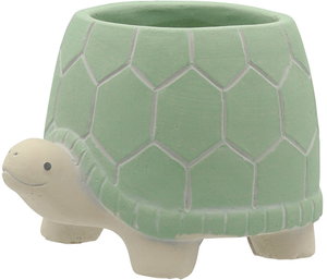 【個人宅配送不可】ドニーズタートルS-GR