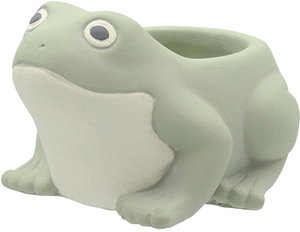 【個人宅配送不可】ドニーズフロッグS-GR