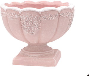 【非加熱】超希少！グリーンアメジストミニドーム⭐️ぽこぽこ花付き 楽天市場】【単品 / 3個セット 】ヘリクリサム プレコスタキス