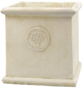 【個人宅配送不可】ブロッサムオーチャードB-IV