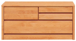 è�ׇV 100-2�i NA