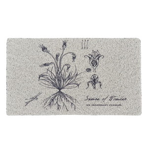 �y�l��z���s�z̶̶�׽ϯ� Senceofwonder