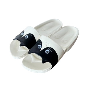 �y�l��z���s�z���Ļ���� ���� �ذ����