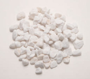 ylzszݸ޽İ ݸܲ S