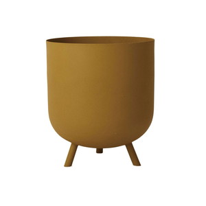 yAzylzszyʓr^z̪ ڷޯ M 29 Ͻ޲