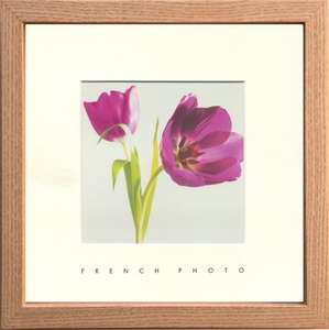 【個人宅配送不可】French Photography