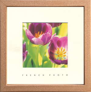 【個人宅配送不可】French Photography