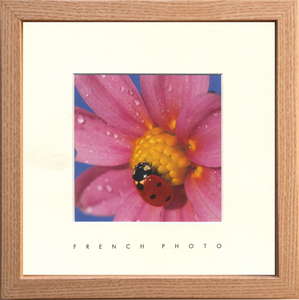 ylzszFrench Photography