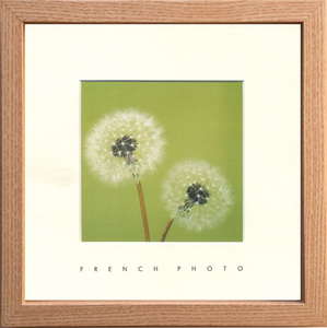 ylzszFrench Photography