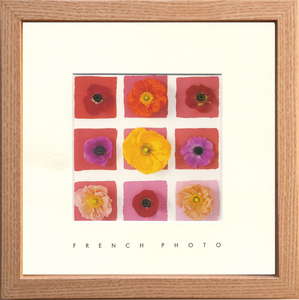 ylzszFrench Photography