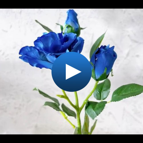 FA-7589 BLU