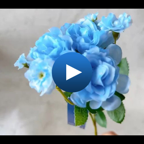FA-7631 BLU