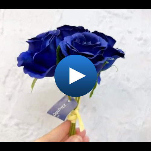 FB-2642 BLU