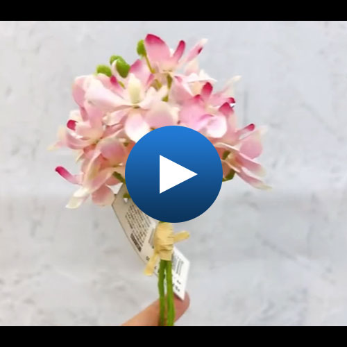 FB-2657 P